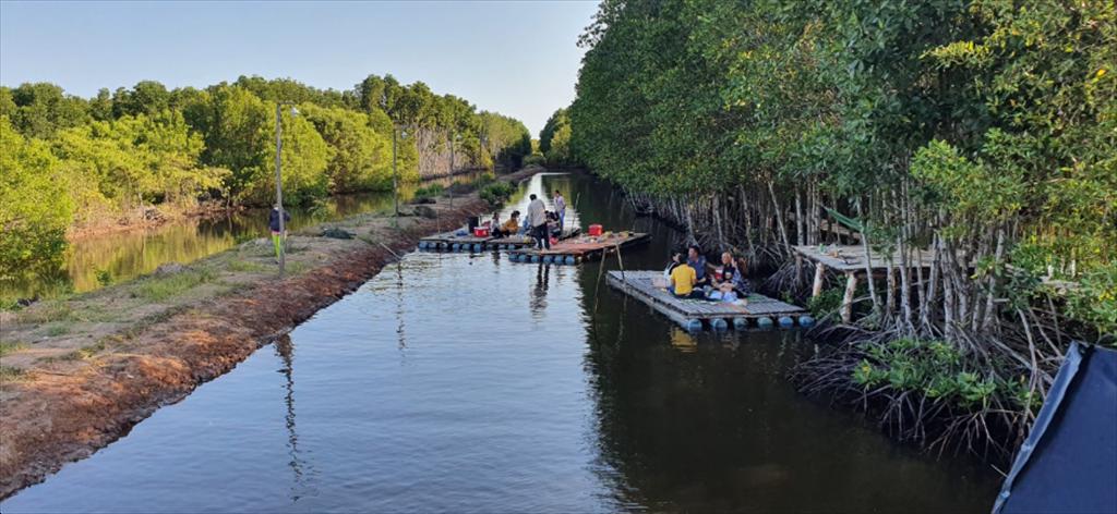 Shrimp–mangrove farming model A sustainable solution to climate change adaptation