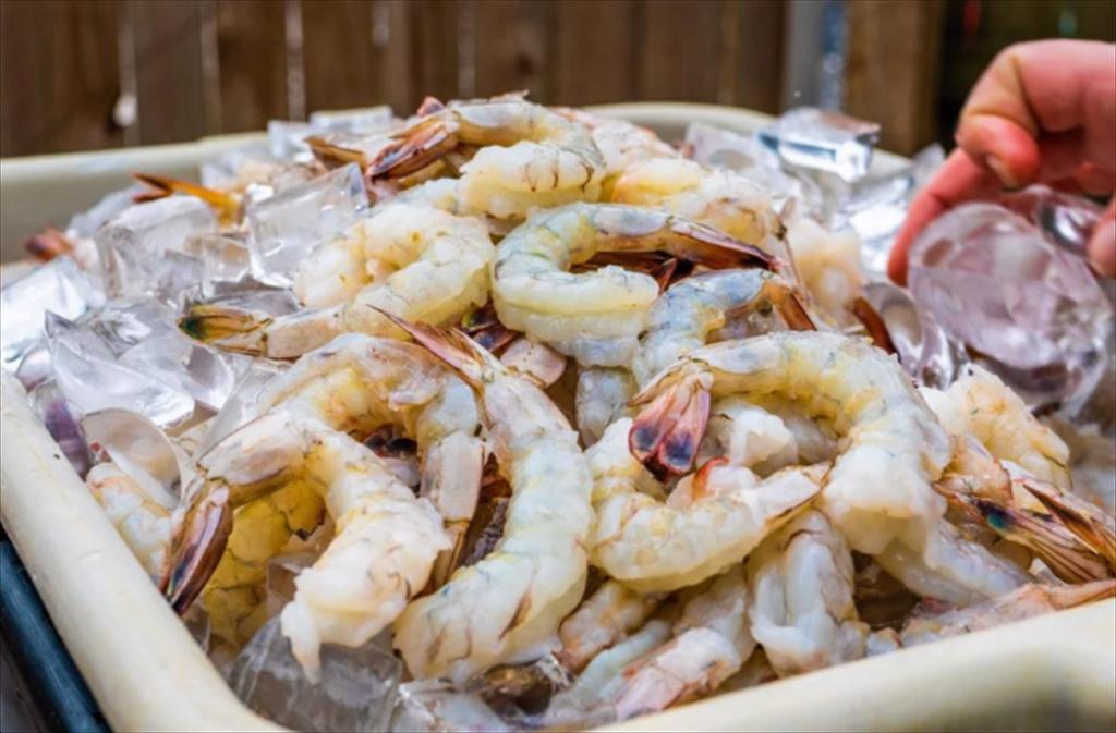 Nhập khẩu tôm của Trung Quốc trong tháng 72025 tăng trở lại