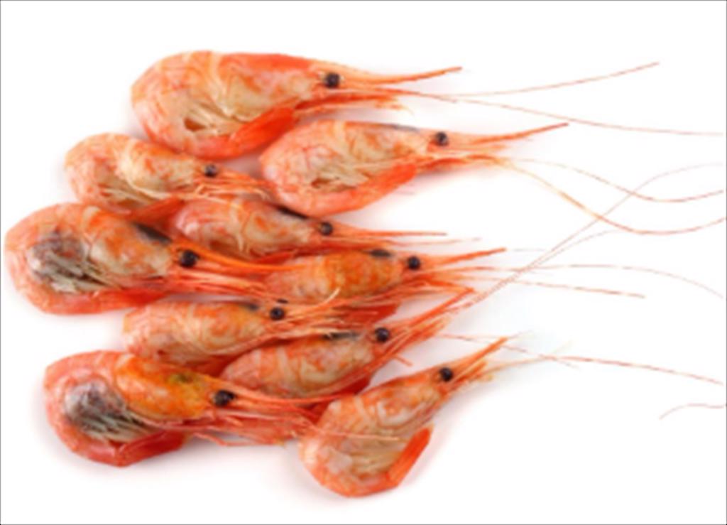 Xuất khẩu tôm nước lạnh của Na Uy sang Trung Quốc tăng vọt 600%