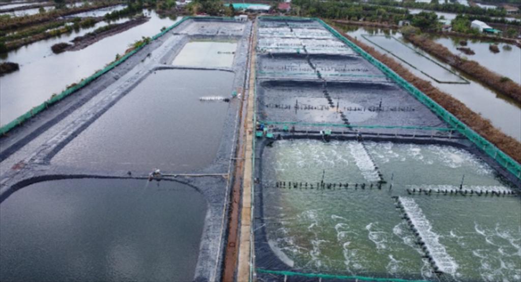 Cà Mau Nông dân xã Khánh An chuẩn bị xuống giống vụ lúa – tôm