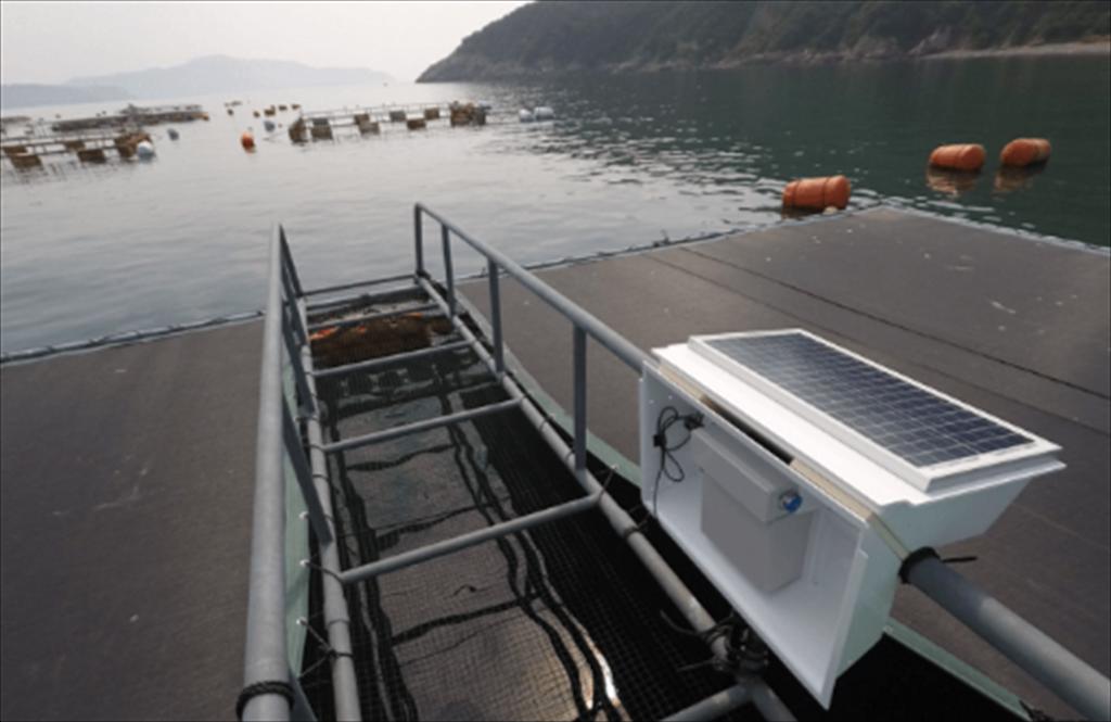 Nhật Bản Công nghệ vệ tinh mở ra kỷ nguyên mới cho nuôi biển bền vững