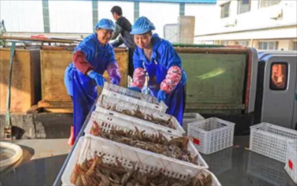 Xuất khẩu thủy sản của Trung Quốc đạt mức cao kỷ lục trong nửa đầu năm 2025