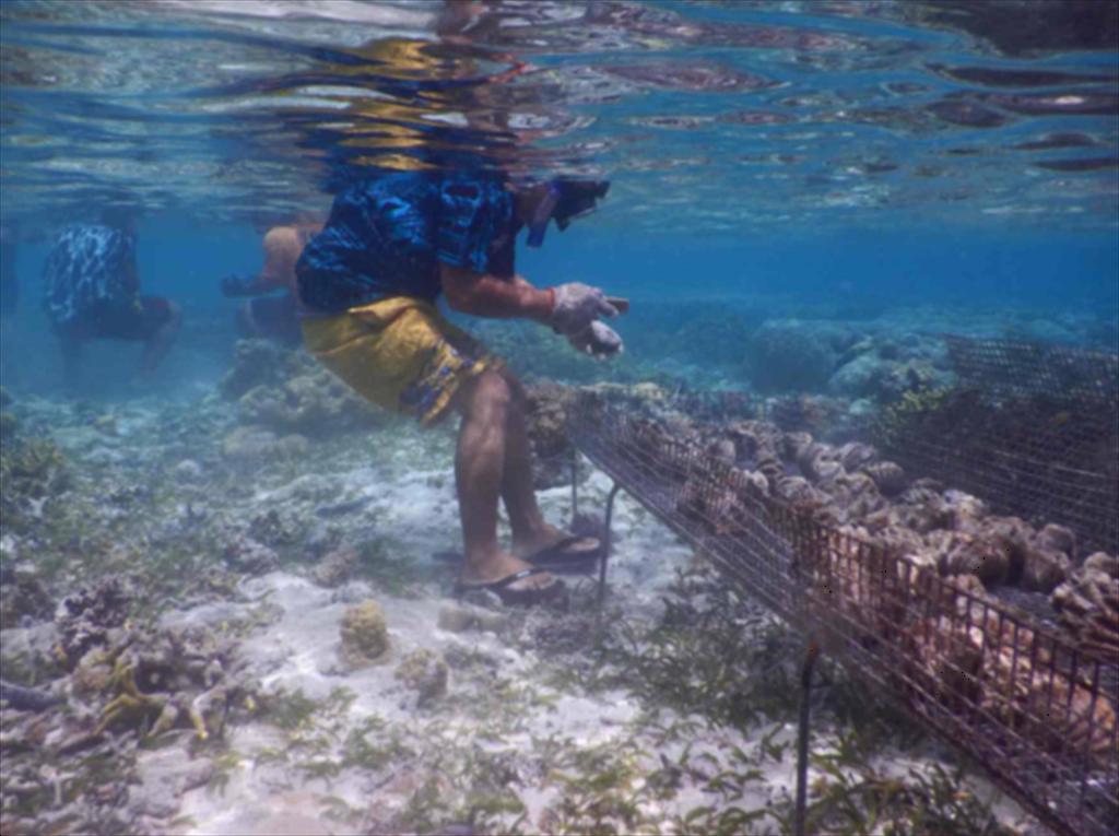 Liên bang Micronesia tăng cường quản lý cảng để chống đánh bắt bất hợp pháp