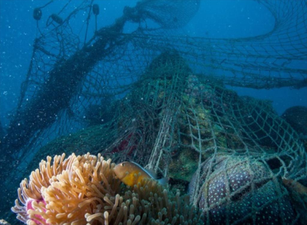 Novotel mở rộng cam kết phát triển bền vững với WWF trong lĩnh vực thủy sản