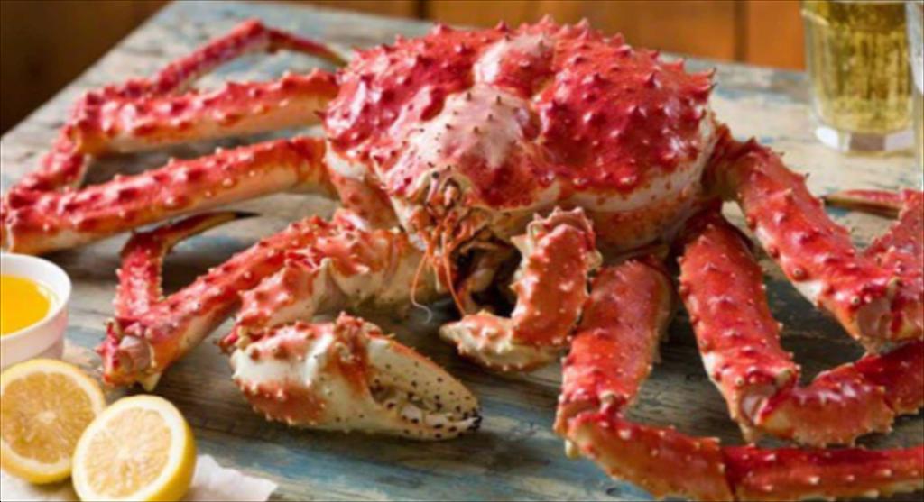 Xuất khẩu tôm hùm Canada gặp khó trong nửa đầu năm 2025