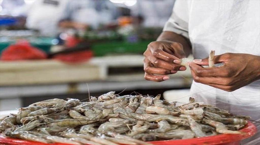 Giải pháp hợp tác giảm thiểu tôm chết hàng loạt tại Ấn Độ