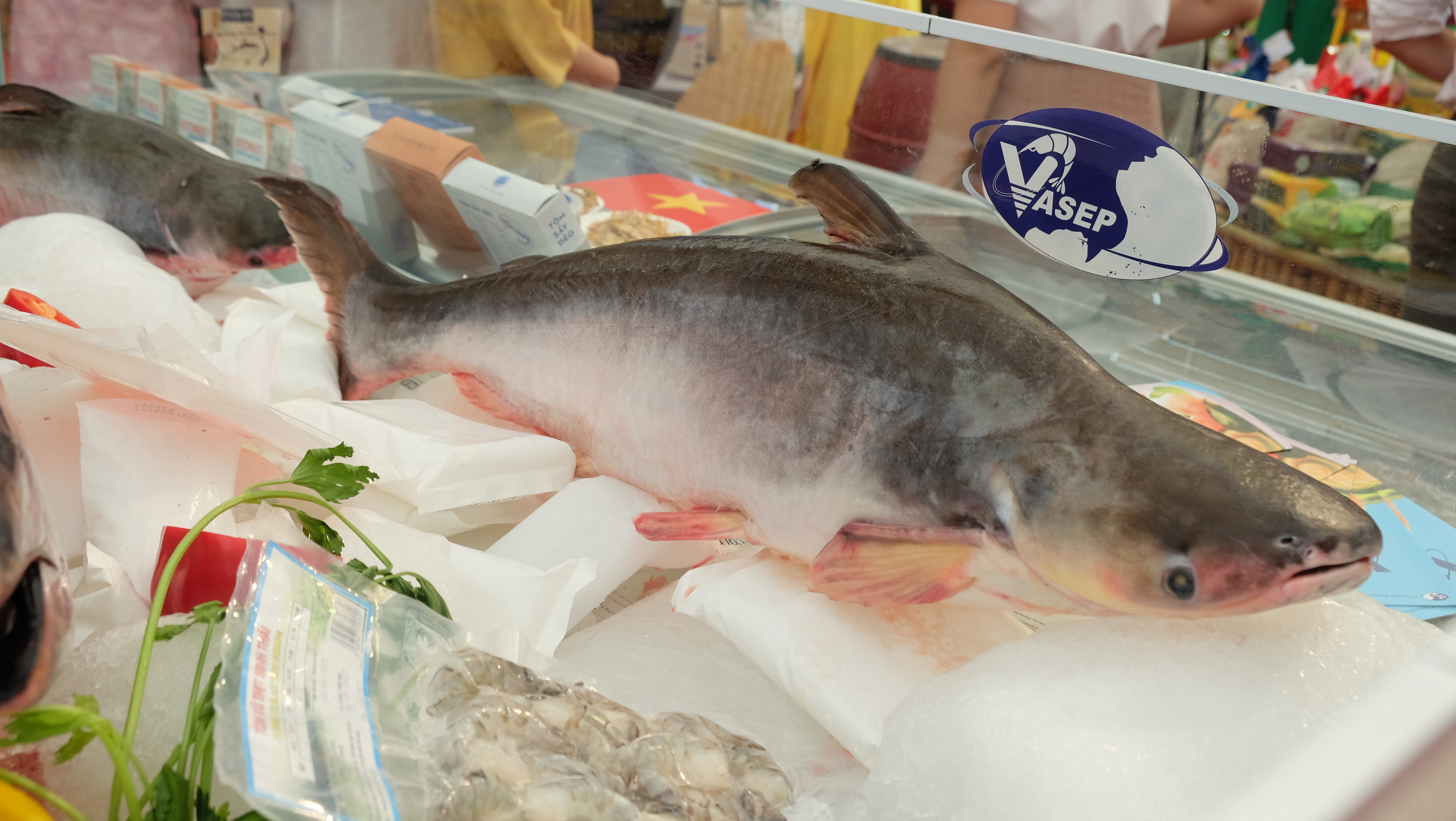 Thị trường cá tra nửa cuối 2025 Nguồn cung thắt chặt, giá xuất khẩu có xu hướng phục hồi 