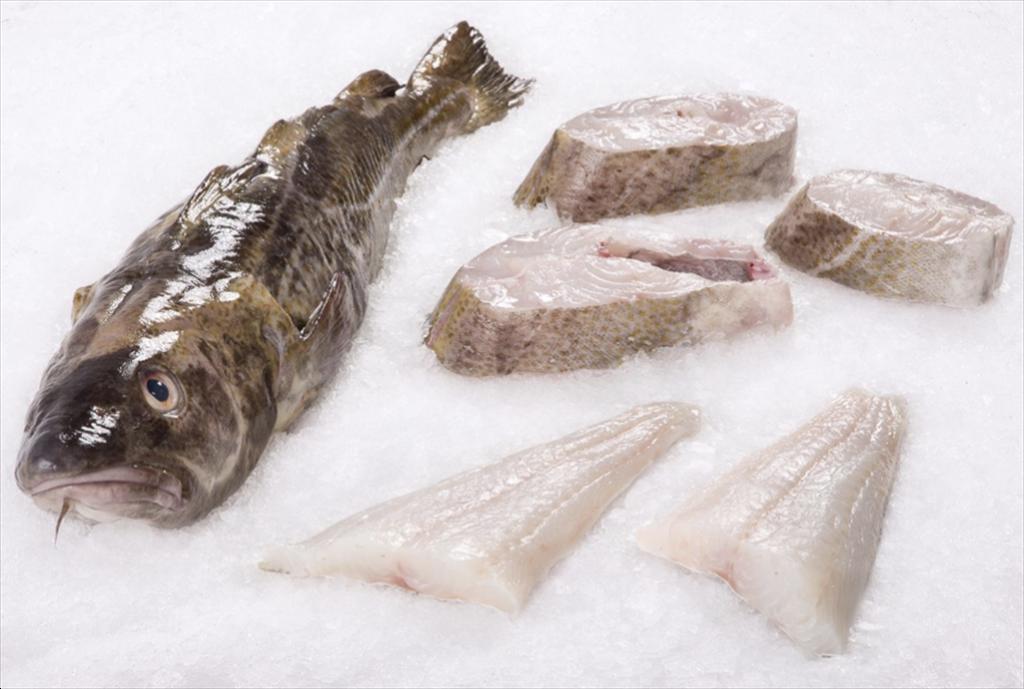 Giá cá tuyết HG của Nga và Na Uy lập kỷ lục mới 