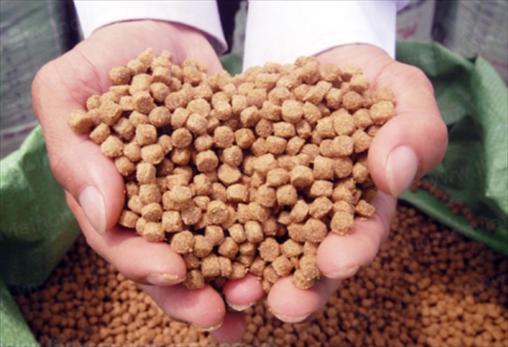 ASC điều chỉnh thời hạn tuân thủ tiêu chuẩn thức ăn thủy sản