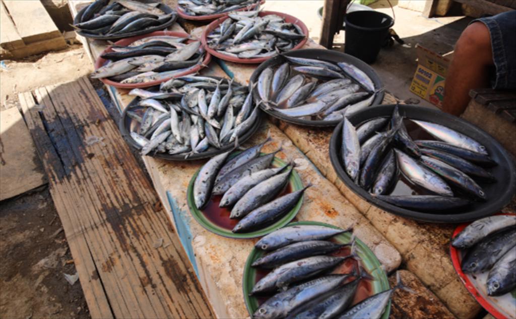 Indonesia đề xuất dự án phục hồi nuôi trồng thủy sản ven biển với quỹ 1,6 tỷ USD