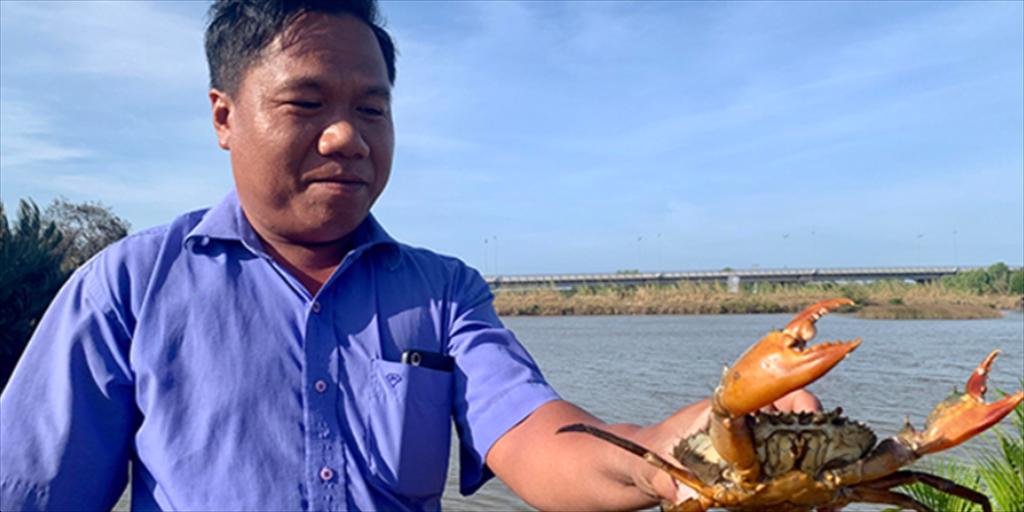 Ca Mau Innovative crab farming enhances commercial value
