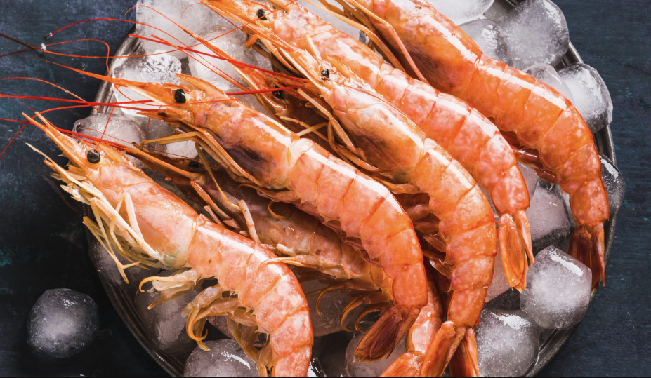 Xuất khẩu tôm của Ecuador có thể đạt 1,5 triệu tấn vào năm 2025