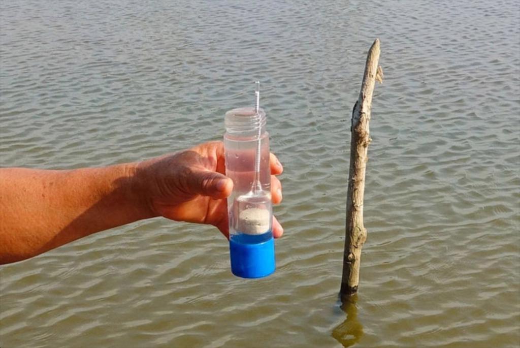 An Giang Developing the shrimp industry in line with its potential