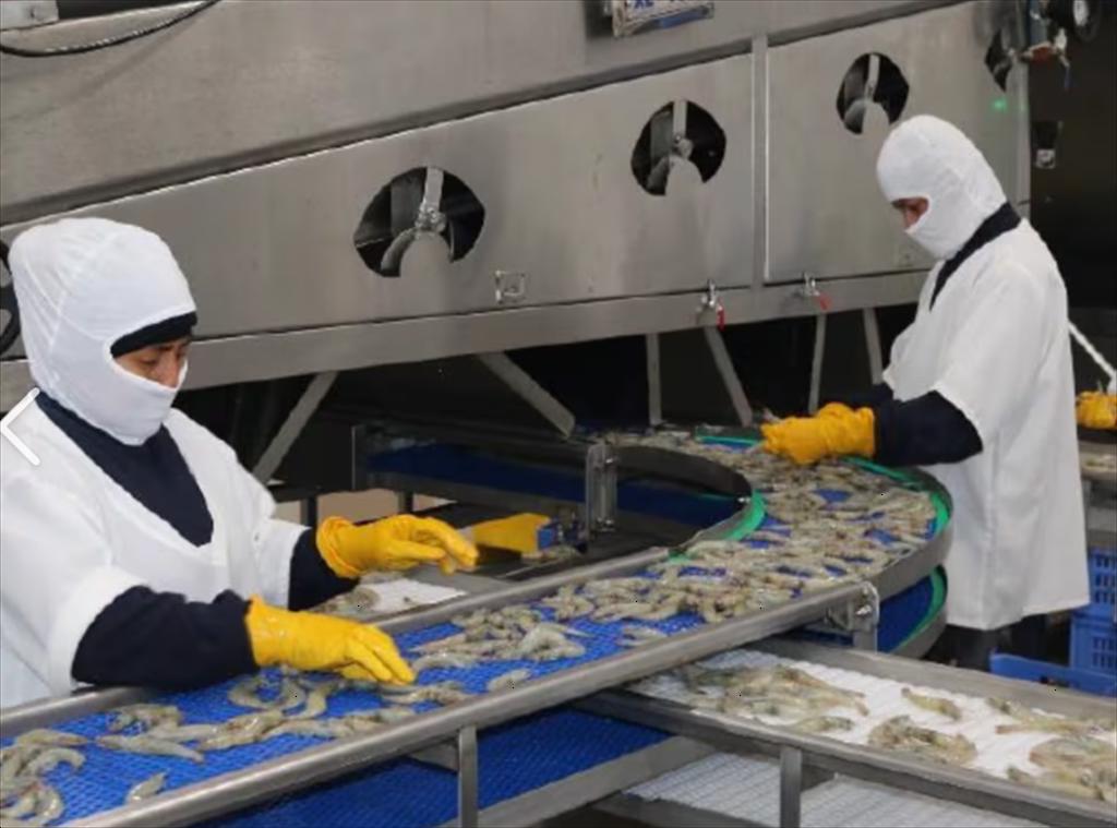 Ecuador ký thỏa thuận thương mại với Hàn Quốc và Nhật Bản nhằm thúc đẩy xuất khẩu