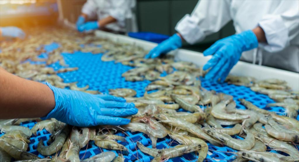 EU phê duyệt 102 cơ sở xuất khẩu thủy sản mới của Ấn Độ 