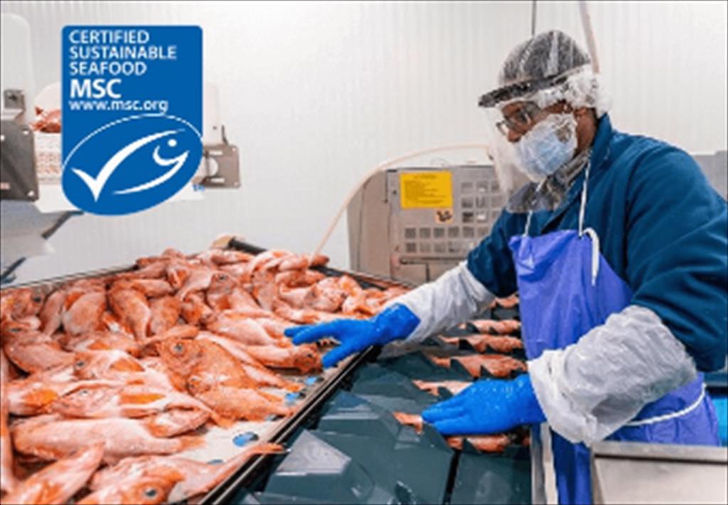 Hai công ty Singapore được nhận chứng nhận bền vững từ MSC và ASC 