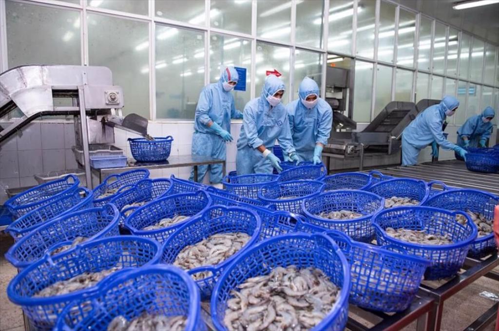 Sao Ta Foods (FMC) records 32% year-on-year revenue growth in august