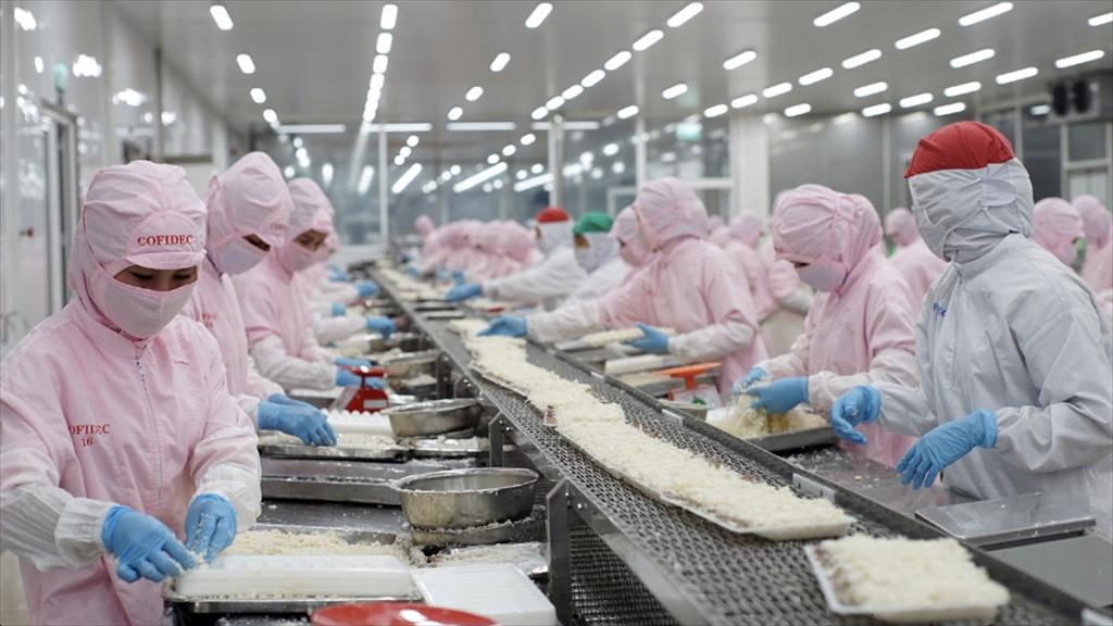 COFIDEC xanh hóa sản xuất, vươn tầm thủy sản Việt