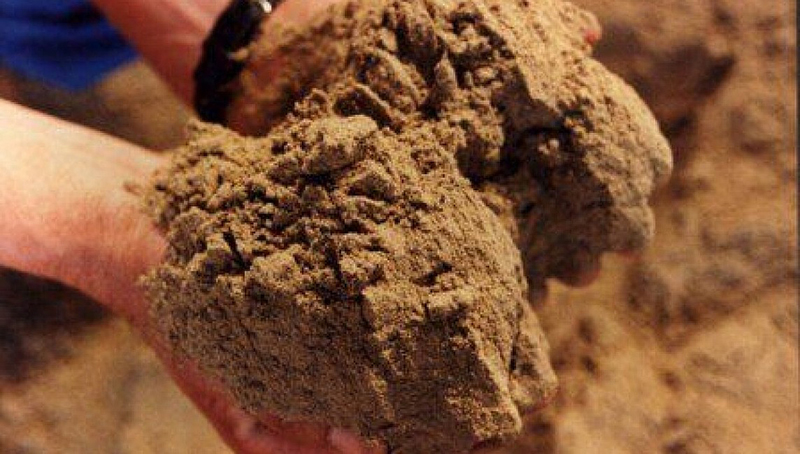 Giảm phụ thuộc bột cá trong nuôi trồng thủy sản