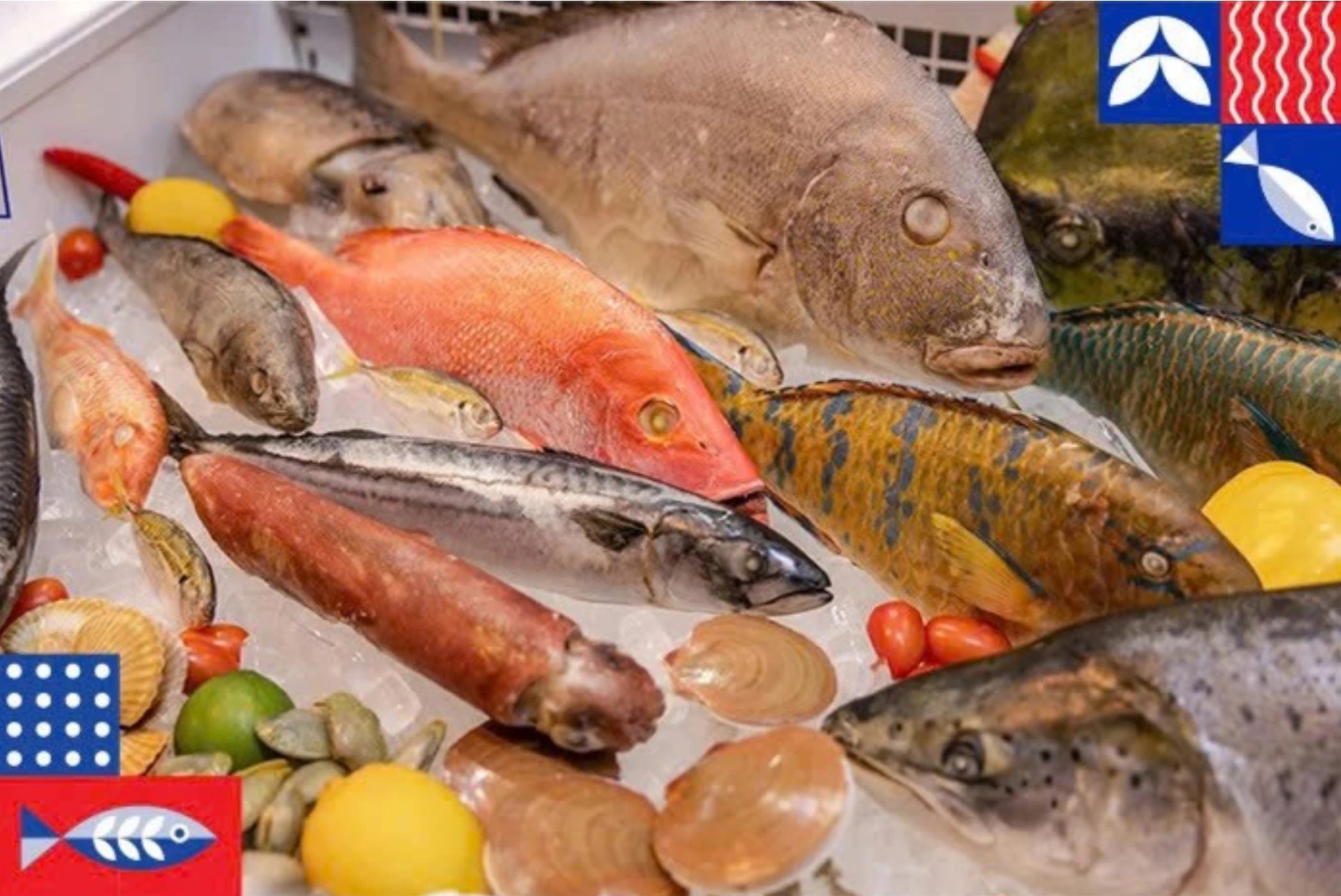 Infographic Xuất khẩu hải sản của Việt Nam 8 tháng đầu năm 2025