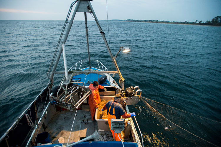 Người dân Pháp ủng hộ phân bổ hạn ngạch đánh bắt cá công bằng hơn cho ngư dân quy mô nhỏ