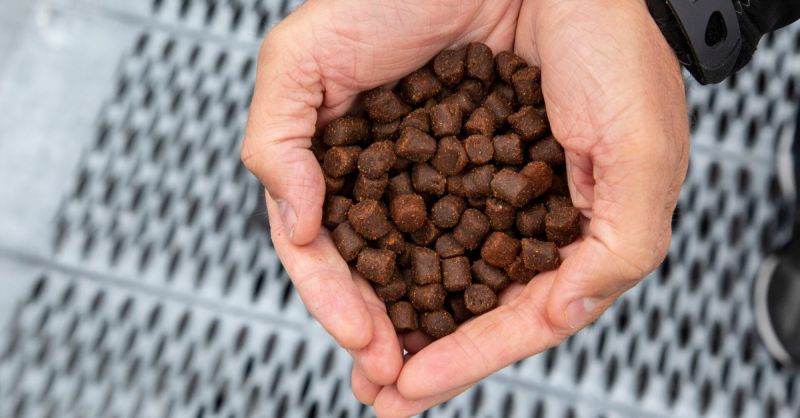 BioMar và Cefetra bắt tay giảm khí thải trong chuỗi cung ứng thức ăn thủy sản