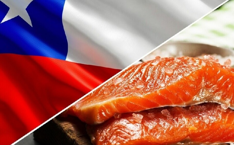 Thủy sản Chile duy trì tăng trưởng xuất khẩu năm 2025 dù thị trường Trung Quốc yếu