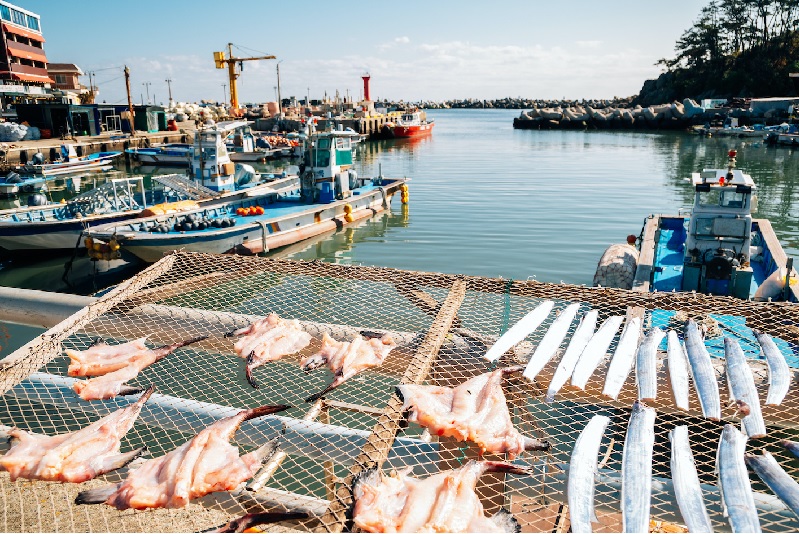 Hàn Quốc đề xuất ngân sách kỷ lục cho toàn ngành thủy sản năm 2026