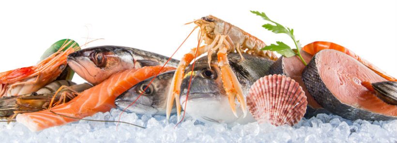 MarinTrust và SFP ký kết hợp tác thúc đẩy chuỗi cung ứng hải sản bền vững