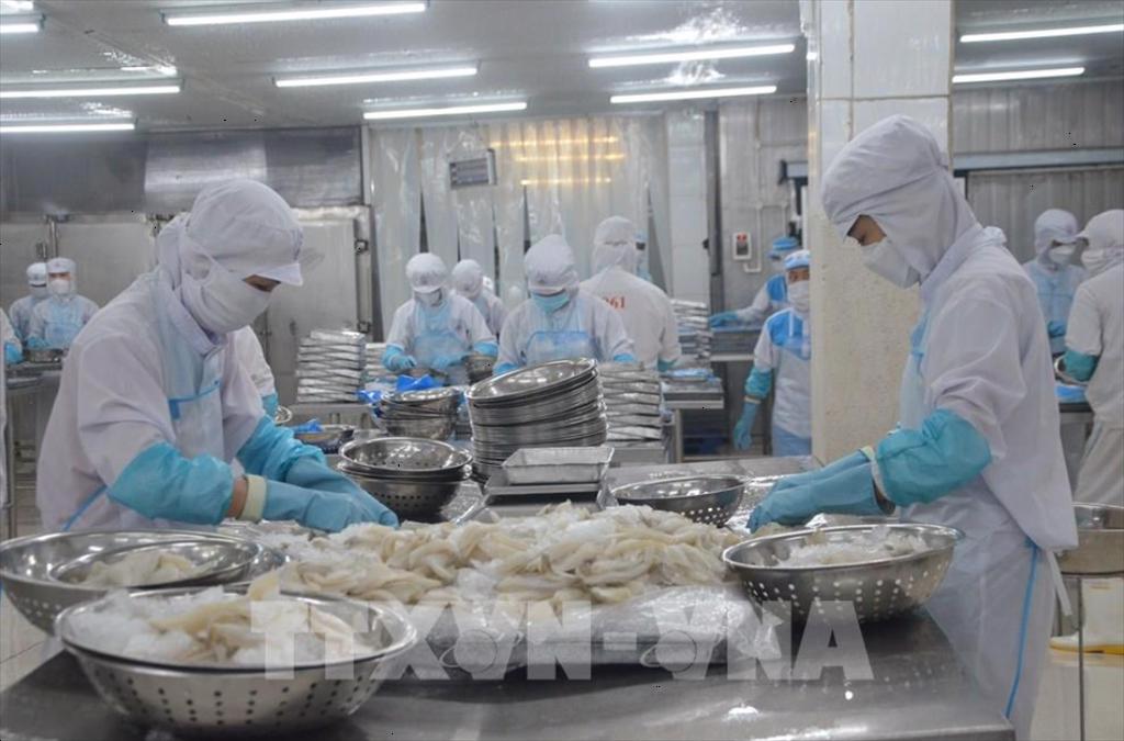 Đón đầu xu hướng, doanh nghiệp thủy sản vào cuộc xanh hóa