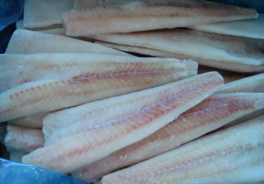 Cá minh thái Alaska có ảnh hưởng lớn đối với nền kinh tế của cả Tiểu bang và cả nước