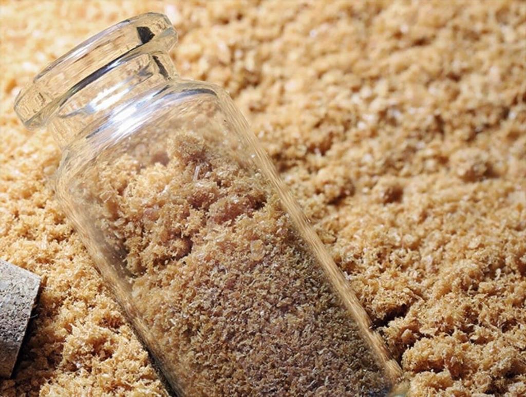 Ngành bột cá và dầu cá Triển vọng tăng trưởng và thách thức 