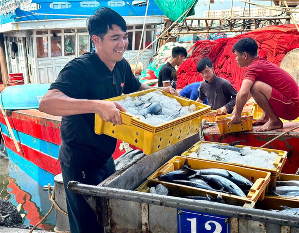 Da Nang Fisheries maintain stable growth