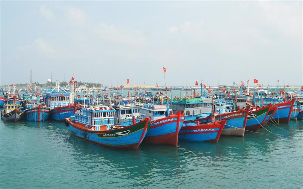 Thủ tướng Quyết liệt hành động, quyết tâm gỡ “thẻ vàng” IUU trong năm 2025 