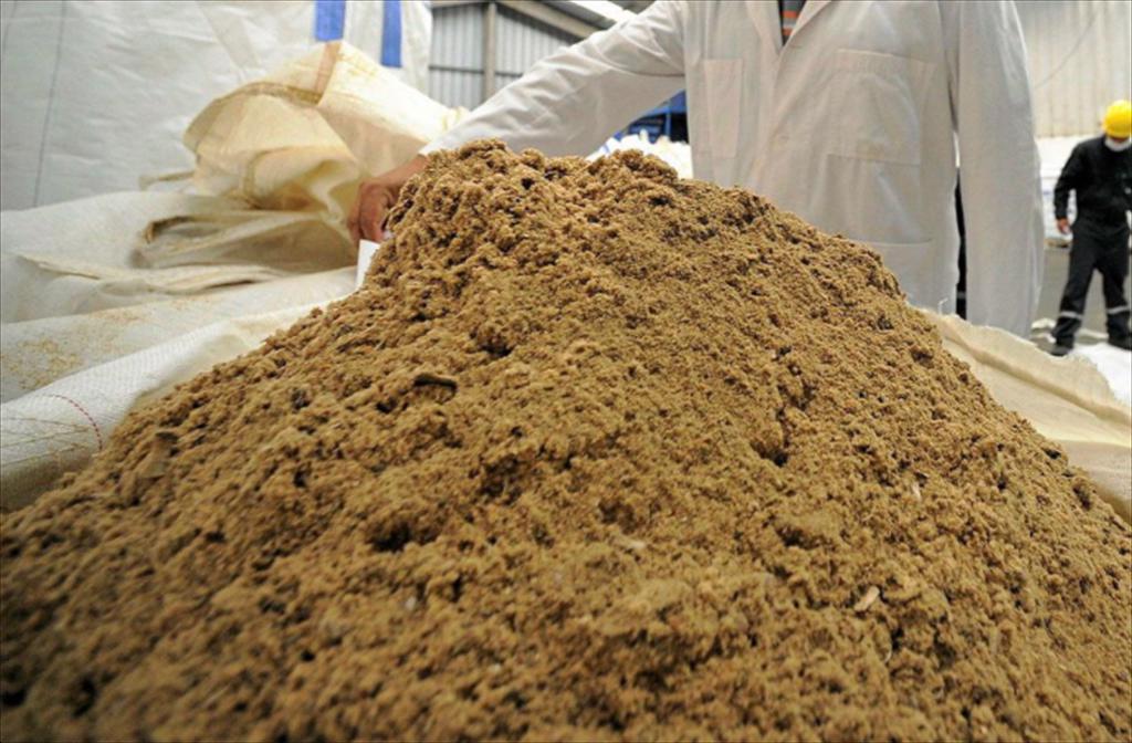 Loopworm (Ấn Độ) gia nhập thị trường thức ăn thủy sản với bột protein côn trùng 