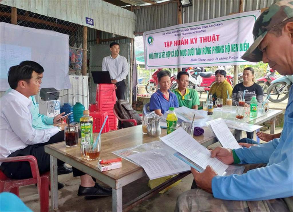 An Giang tập huấn mô hình nuôi tôm kết hợp cá dưới tán rừng ngập mặn