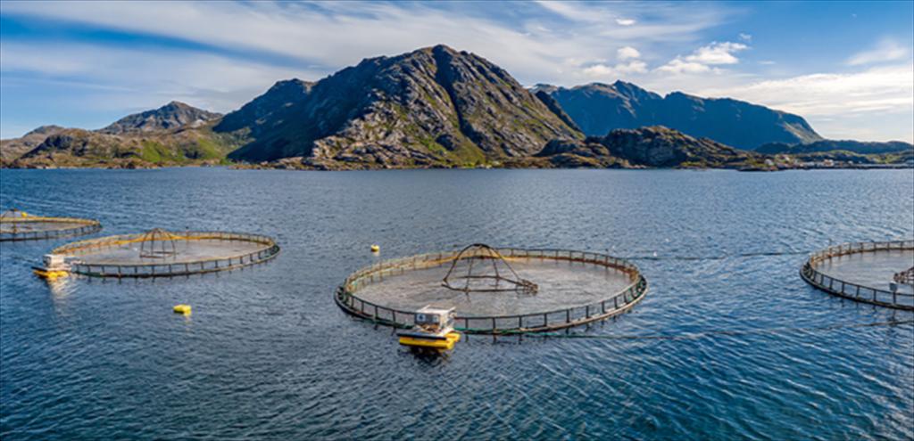 Đức Lần đầu tiên vinh danh các doanh nghiệp và cá nhân thúc đẩy thủy sản bền vững