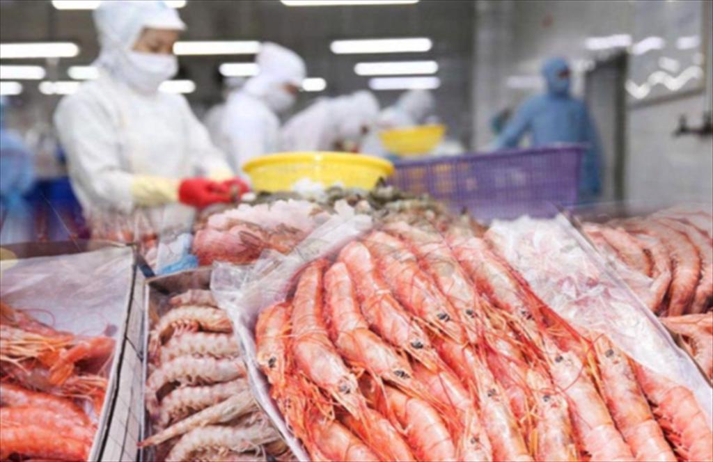 Ấn Độ hướng tới chứng nhận MSC cho 10 loài thủy sản