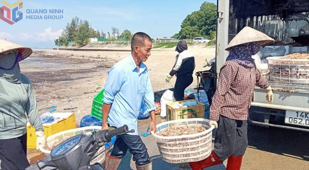 Chuyển dịch từ khai thác sang nuôi biển