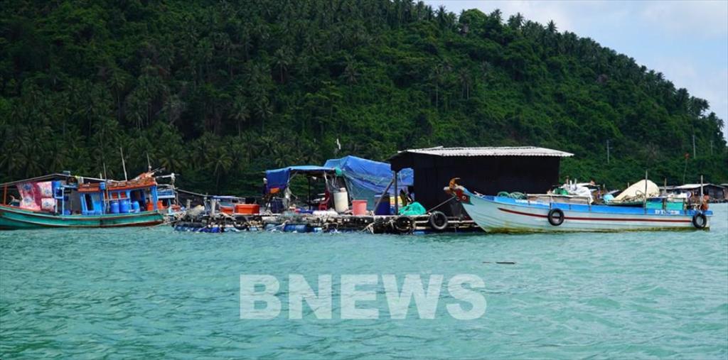 An Giang bứt tốc trong nuôi trồng thủy sản