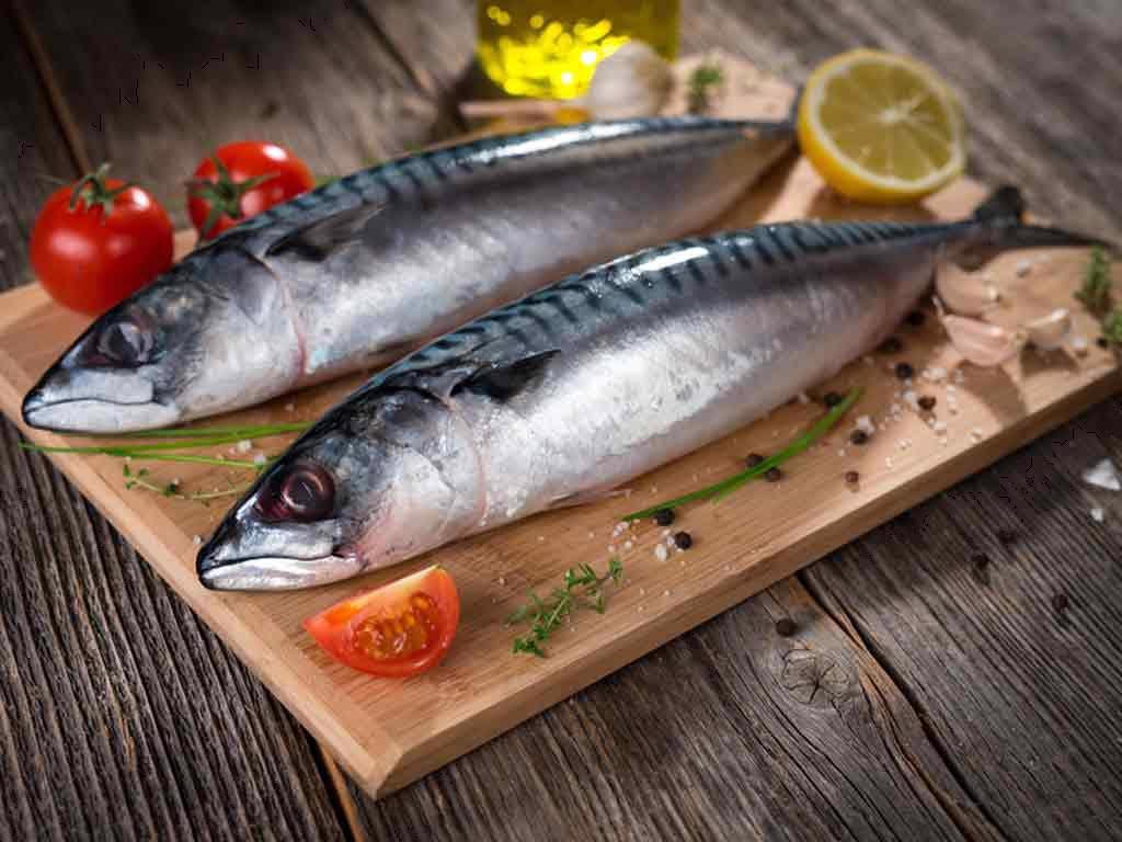 ICES cảnh báo trữ lượng cá thu chạm đáy