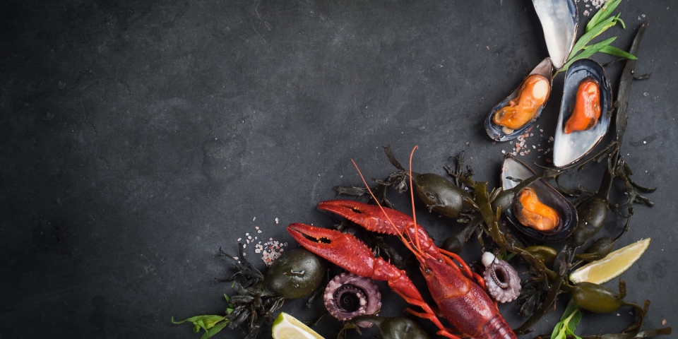 Xuất khẩu hải sản Ireland sang Bắc Mỹ và Trung Quốc tăng vọt 