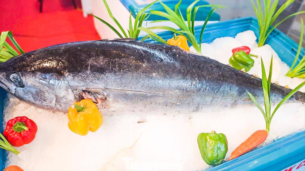 Cầu tăng – chuẩn siết Ngành cá ngừ Việt Nam cần bứt tốc trong cuộc đua bền vững