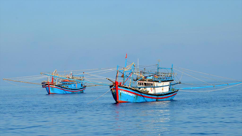 Thủ tướng yêu cầu tập trung thực hiện tháng cao điểm chống khai thác hải sản bất hợp pháp