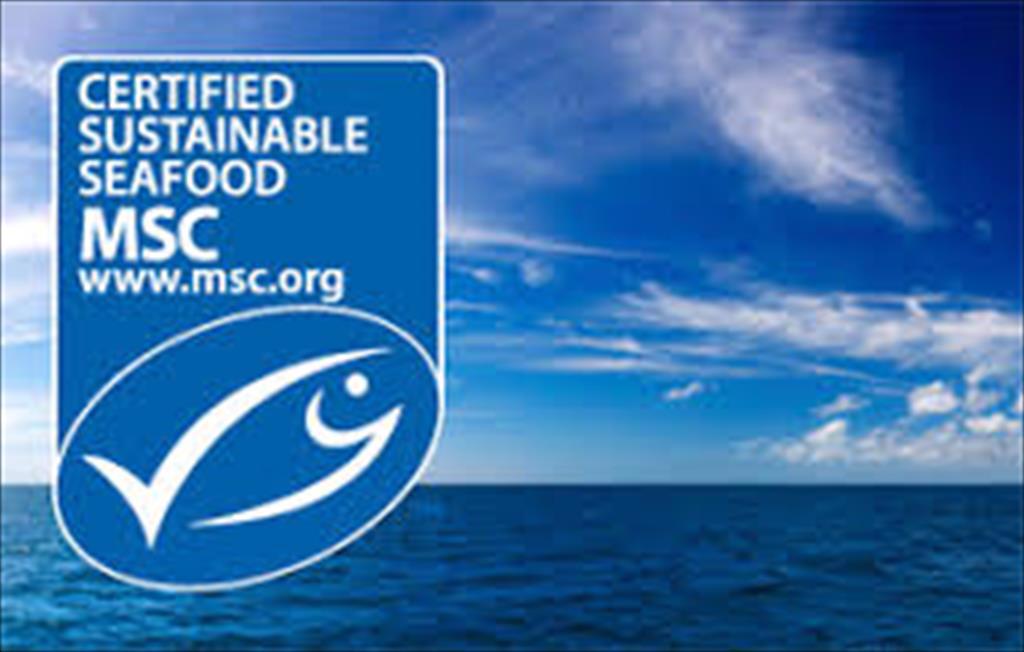 Nhiều nghề cá tham gia MSC khi nhu cầu hải sản bền vững tăng mạnh