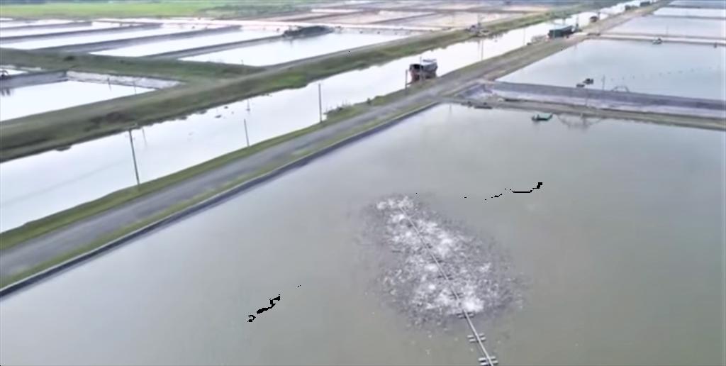 Thủy sản An Giang đóng góp tích cực vào kinh tế biển và hội nhập quốc tế