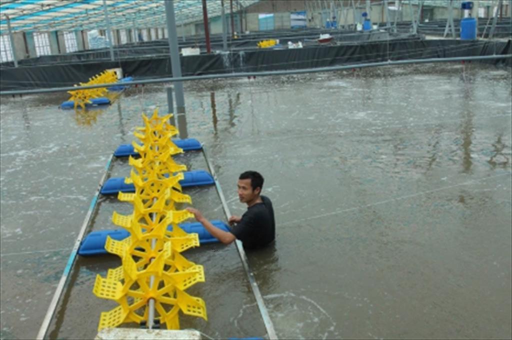 Phát triển nuôi trồng thủy sản thích ứng với biến đổi khí hậu