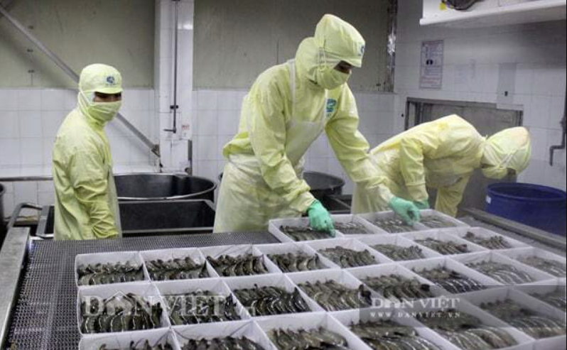 Luật thuế giá trị gia tăng khiến nhiều doanh nghiệp đứng ngồi không yên, nông dân lao đao vì bị ép giá