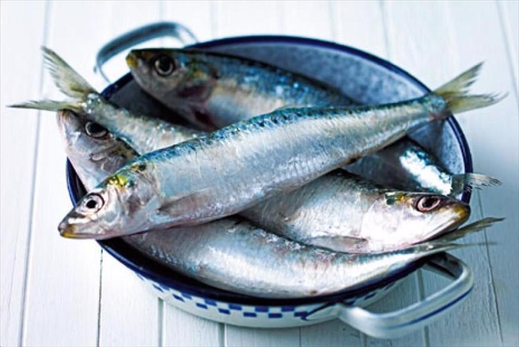 Pakistan trở thành nhà cung cấp cá sardine hàng đầu cho Trung Quốc