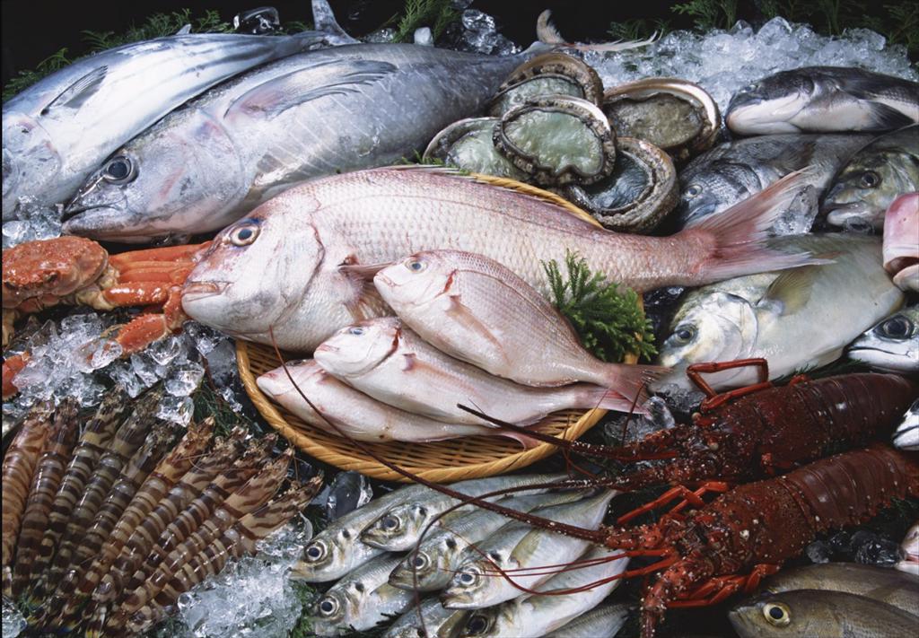 Vietnam’s fishery output shows steady growth in first nine months